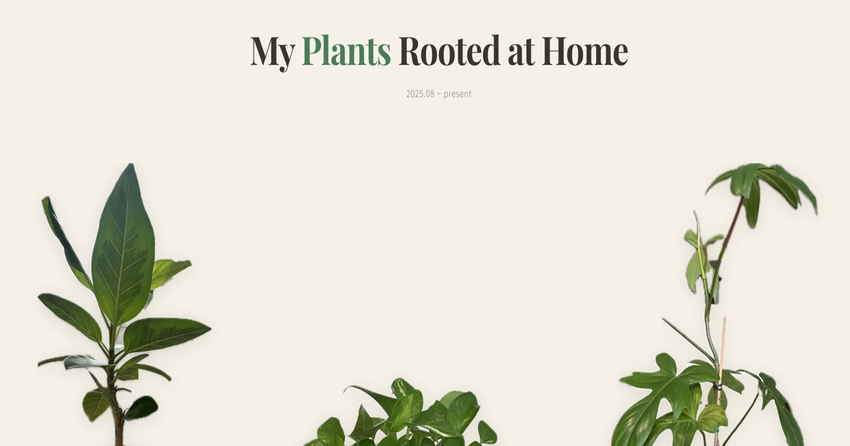 My Plants Rooted at Home