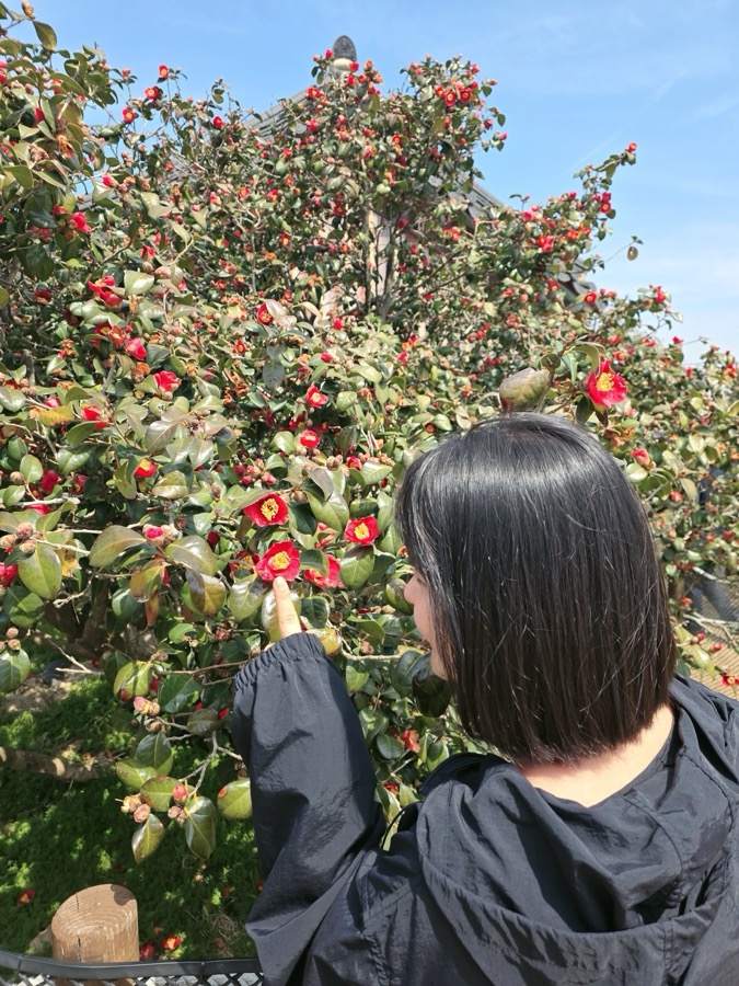 동백나무 숲 앞에서