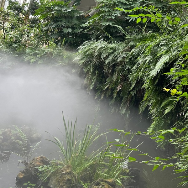 국립생태원 열대관